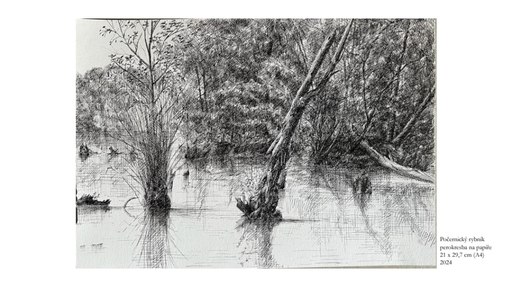 RMUD_vodnanska_nela_portfolio_260830_194440_5.jpg