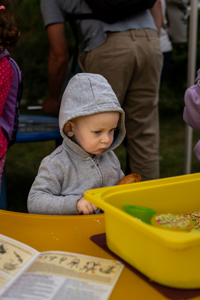 parkfest_1080.jpg