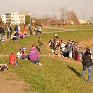 41.JPG