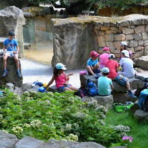 25.mláďata Homo Sapiens.JPG
