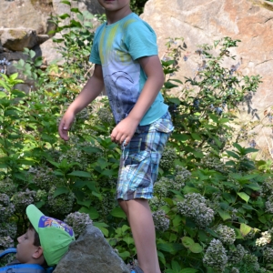 26.David.JPG