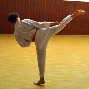Karate_007.jpg
