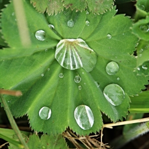 97.JPG