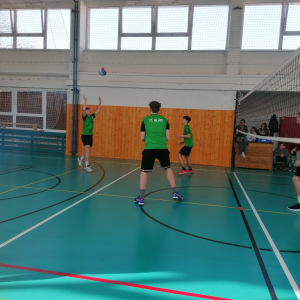 IMG_20250227_103407.jpg