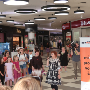 Výstava Tajemství džungle