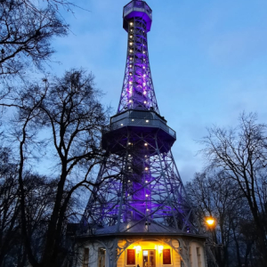 Jistá nejistota - Světový den rakoviny slinivky břišní