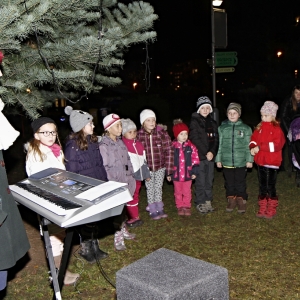 _MG_3710.JPG