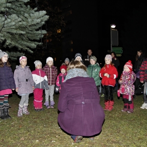 _MG_3716.JPG
