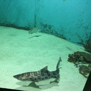IMG_7478.jpg