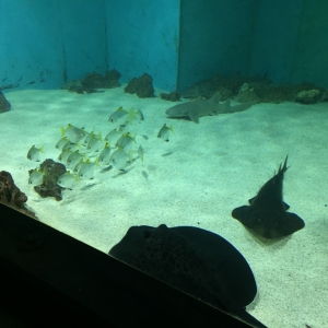 IMG_7482.jpg
