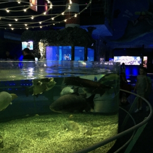 IMG_7484.jpg
