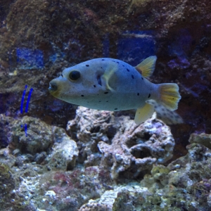 IMG_7507.jpg