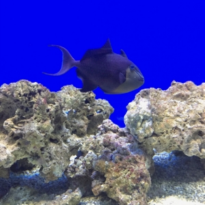 IMG_7549.jpg
