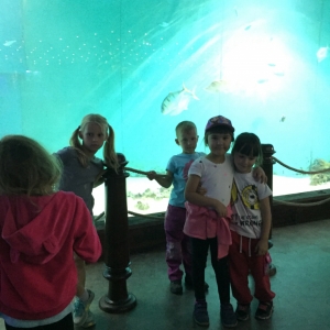 IMG_7569.jpg