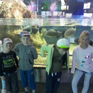 IMG_8051.jpg
