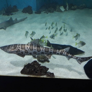 IMG_8053.jpg