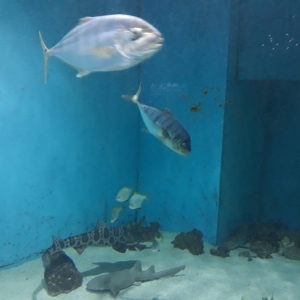IMG_8054.jpg
