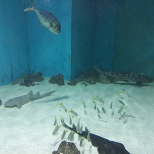 IMG_8055.jpg