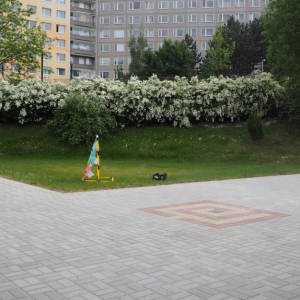 P5110454.JPG