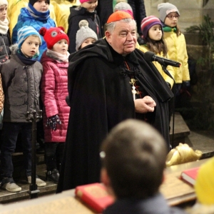 IMG_9884_1.jpg