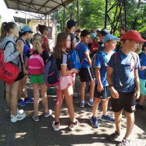 IMG_20190702_093805.jpg