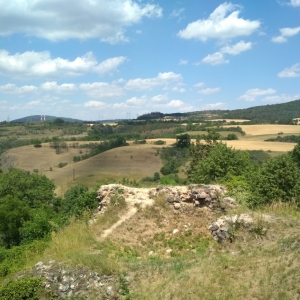 IMG_20190702_125806.jpg