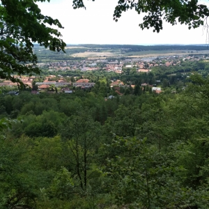 IMG_20190703_123730.jpg