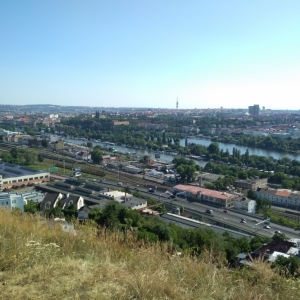 IMG_20190704_091331.jpg