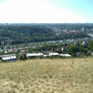 IMG_20190704_093121.jpg