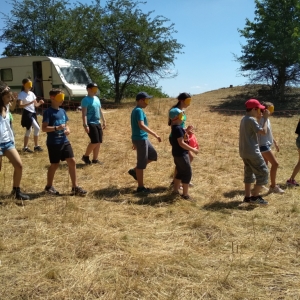 IMG_20190704_115458.jpg