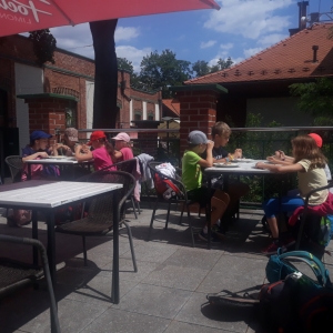 20190708_133915.jpg