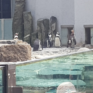 20190730_140204.jpg