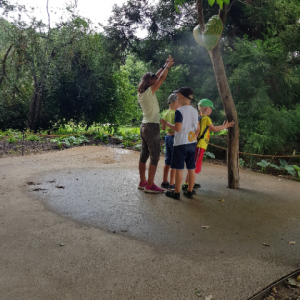 20190730_141215.jpg
