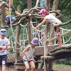 20190730_141254.jpg