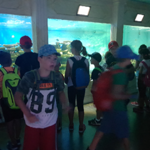 20190731_100925.jpg