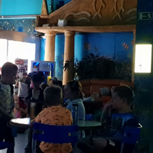 20190731_104008.jpg