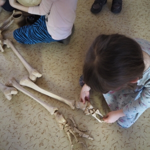 P2080272.JPG