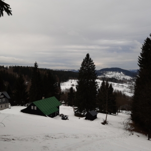 20200217_101924.jpg