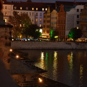 DSC_0344.JPG