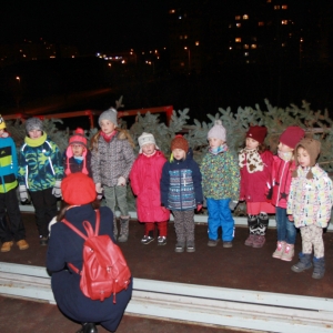 IMG_6644_1.jpg